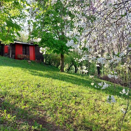 La Collina Delle Acacie Acomodação com café da manhã Grumolo Pedemonte Exterior foto