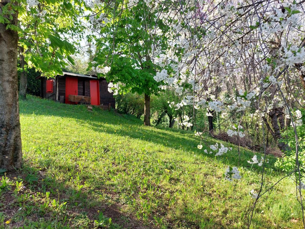 La Collina Delle Acacie Acomodação com café da manhã Grumolo Pedemonte Exterior foto